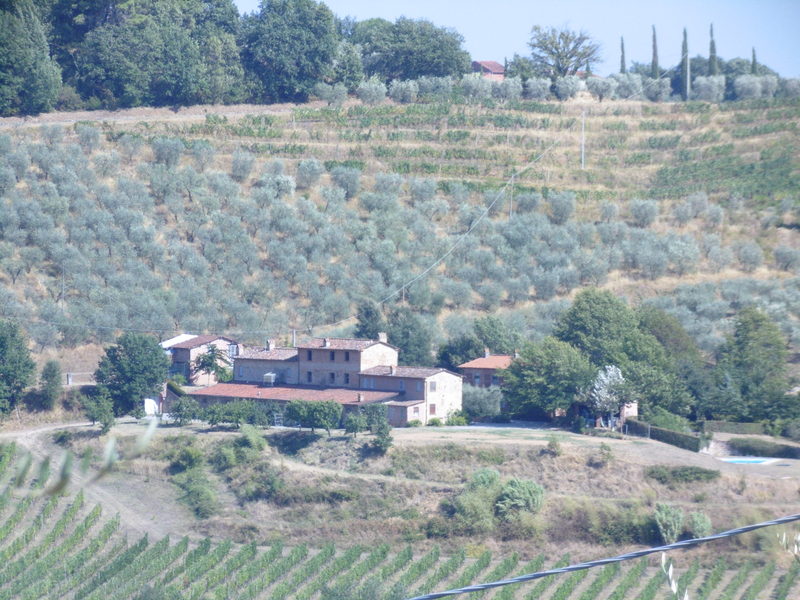 Agenzia Immobiliare San Martino