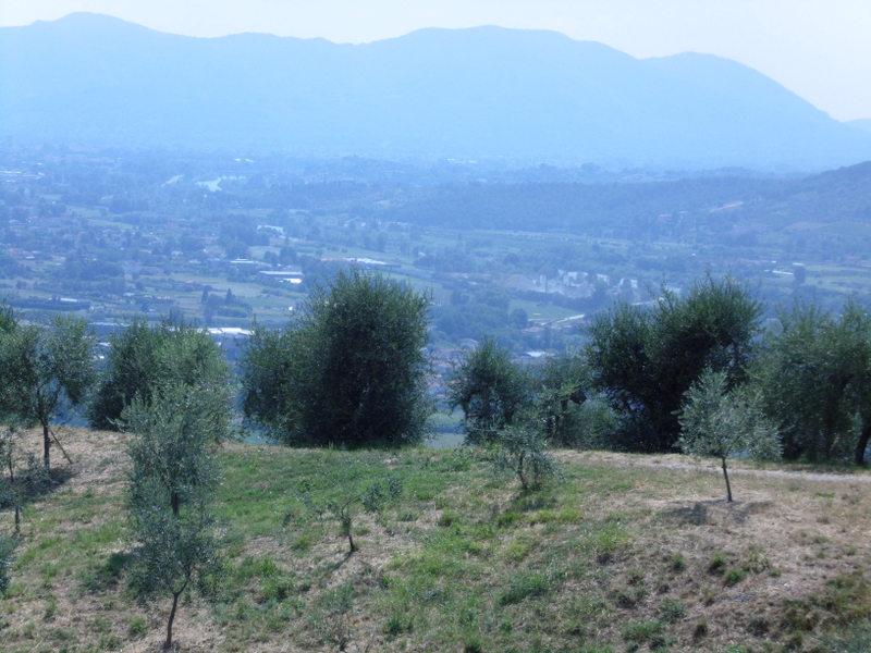 Agenzia Immobiliare San Martino