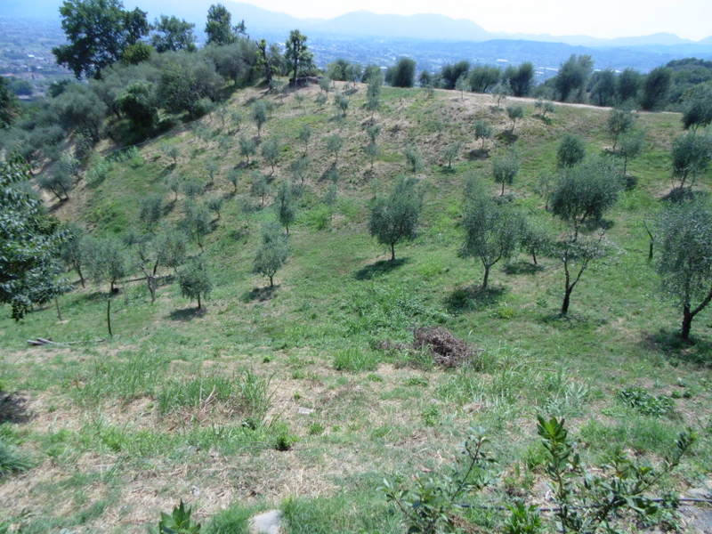Agenzia Immobiliare San Martino