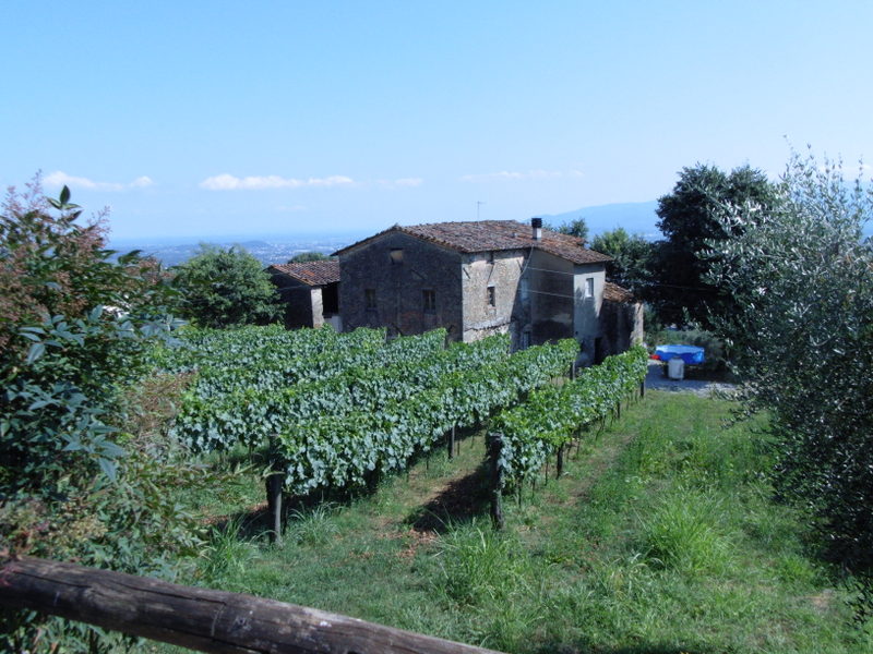 Agenzia Immobiliare San Martino