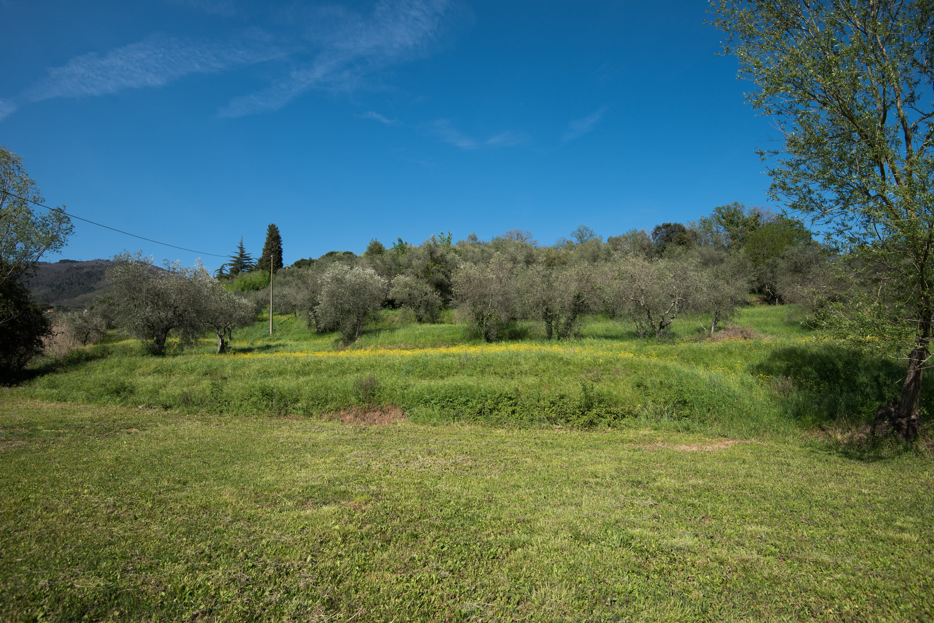 Agenzia Immobiliare San Martino