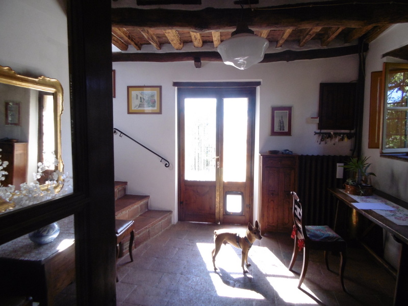 Agenzia Immobiliare San Martino