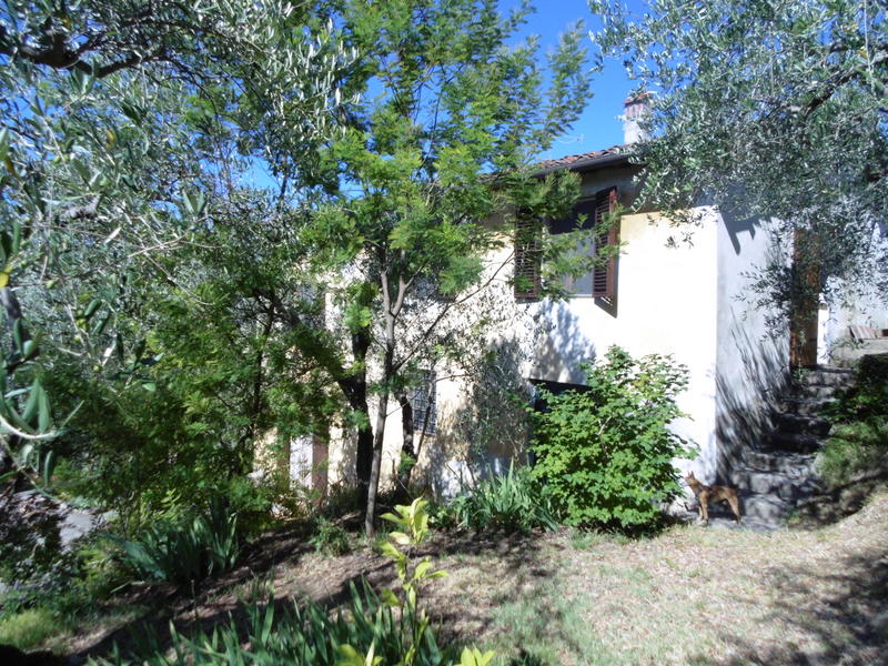 Agenzia Immobiliare San Martino