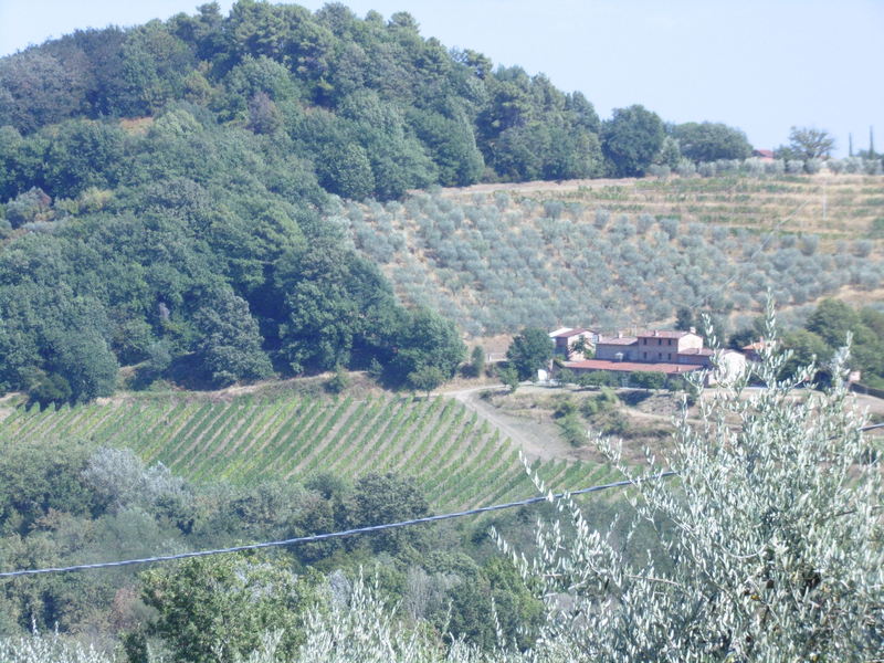 Agenzia Immobiliare San Martino