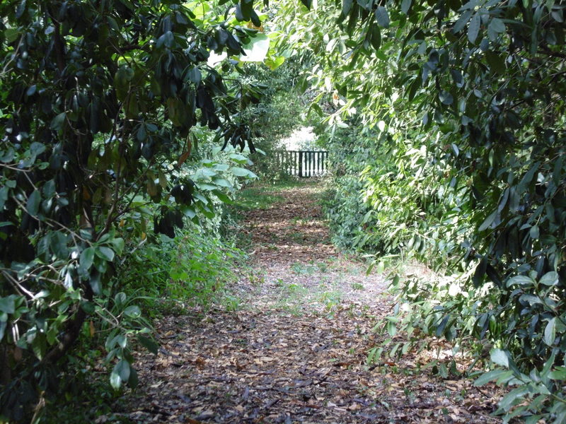 Agenzia Immobiliare San Martino