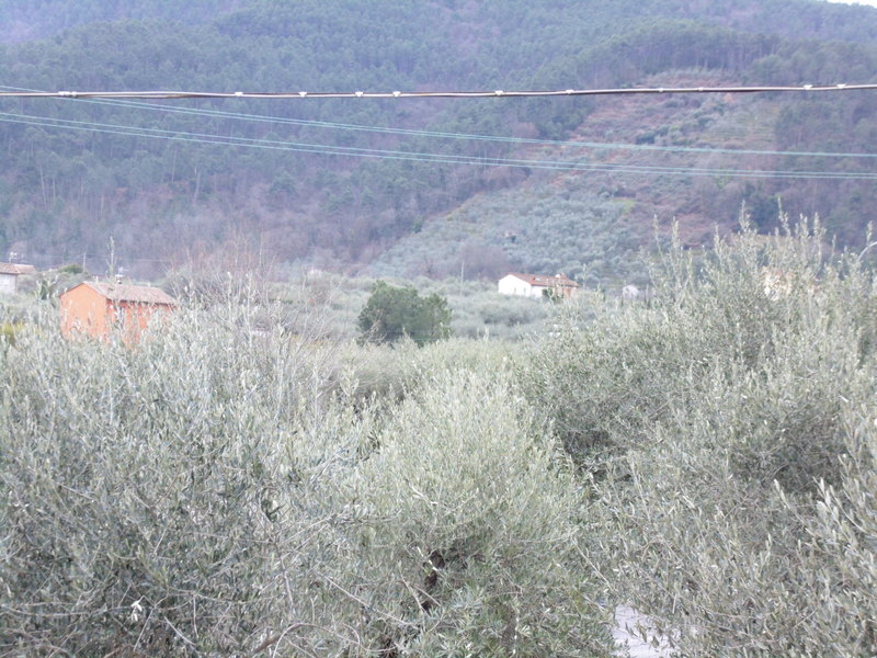 Agenzia Immobiliare San Martino