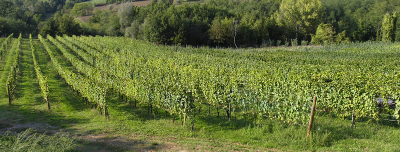 Agenzia Immobiliare San Martino