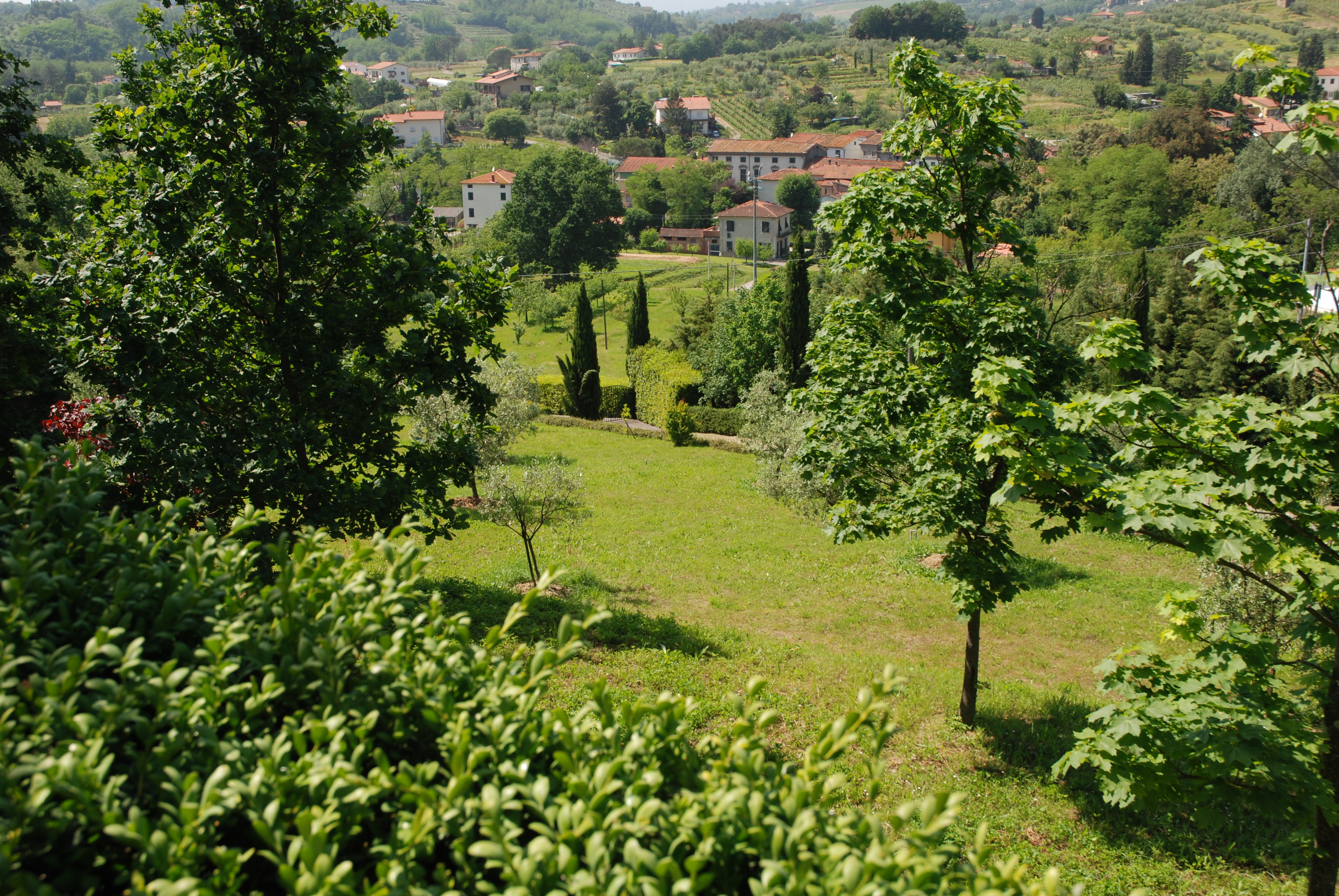 Agenzia Immobiliare San Martino