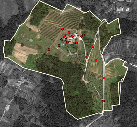 Agenzia Immobiliare San Martino