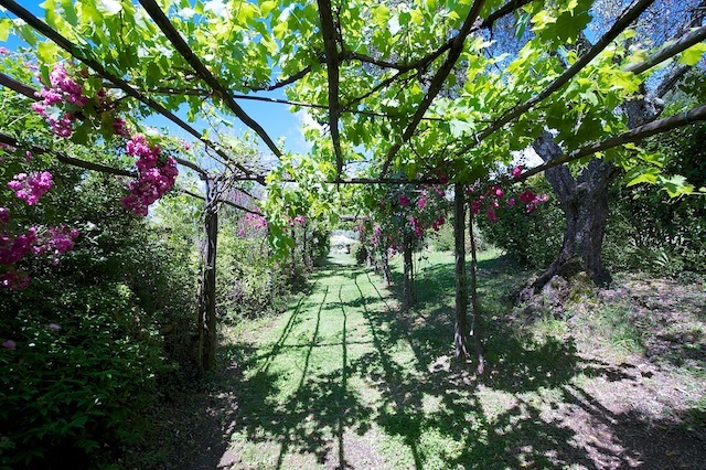 Agenzia Immobiliare San Martino