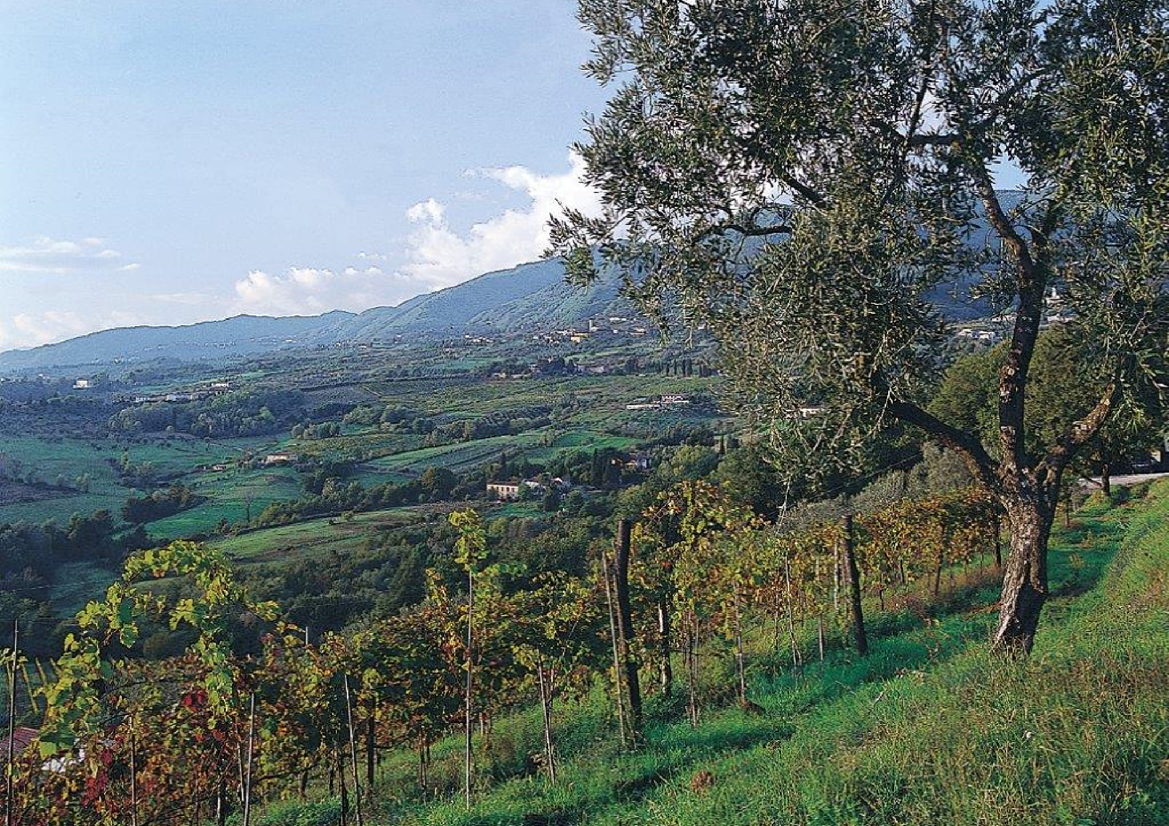 Agenzia Immobiliare San Martino