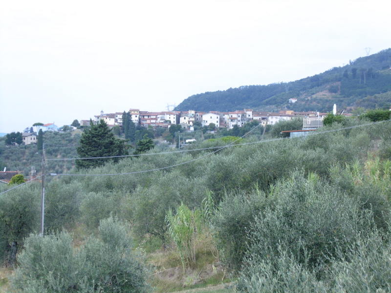 Agenzia Immobiliare San Martino