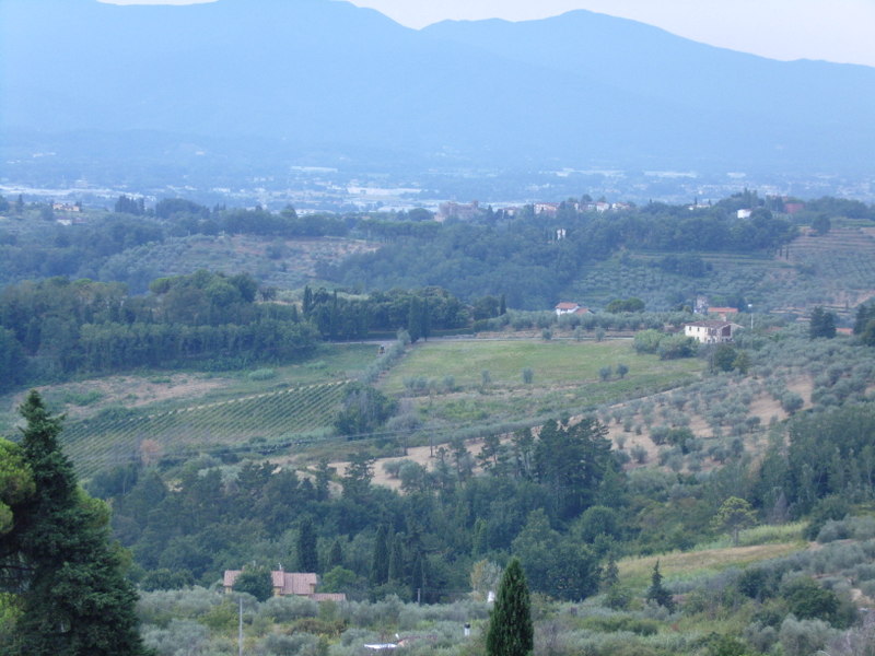 Agenzia Immobiliare San Martino