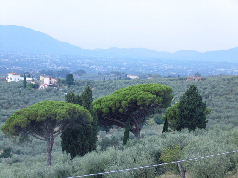 Agenzia Immobiliare San Martino