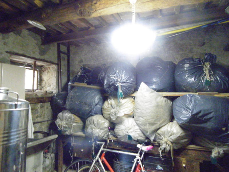 Agenzia Immobiliare San Martino