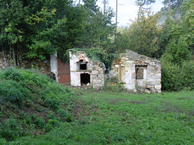 Agenzia Immobiliare San Martino