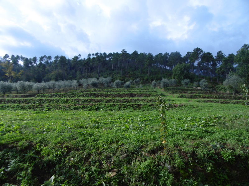 Agenzia Immobiliare San Martino