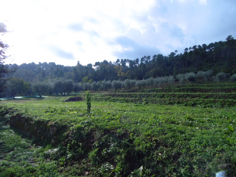 Agenzia Immobiliare San Martino