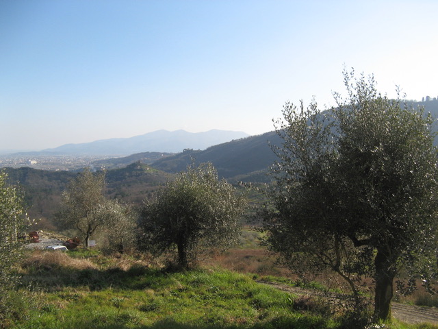 Agenzia Immobiliare San Martino