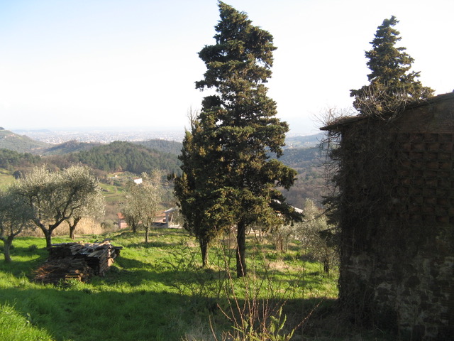 Agenzia Immobiliare San Martino