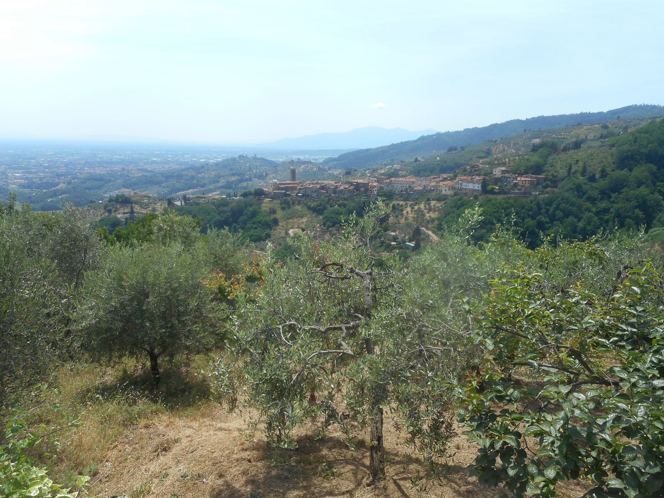 Agenzia Immobiliare San Martino