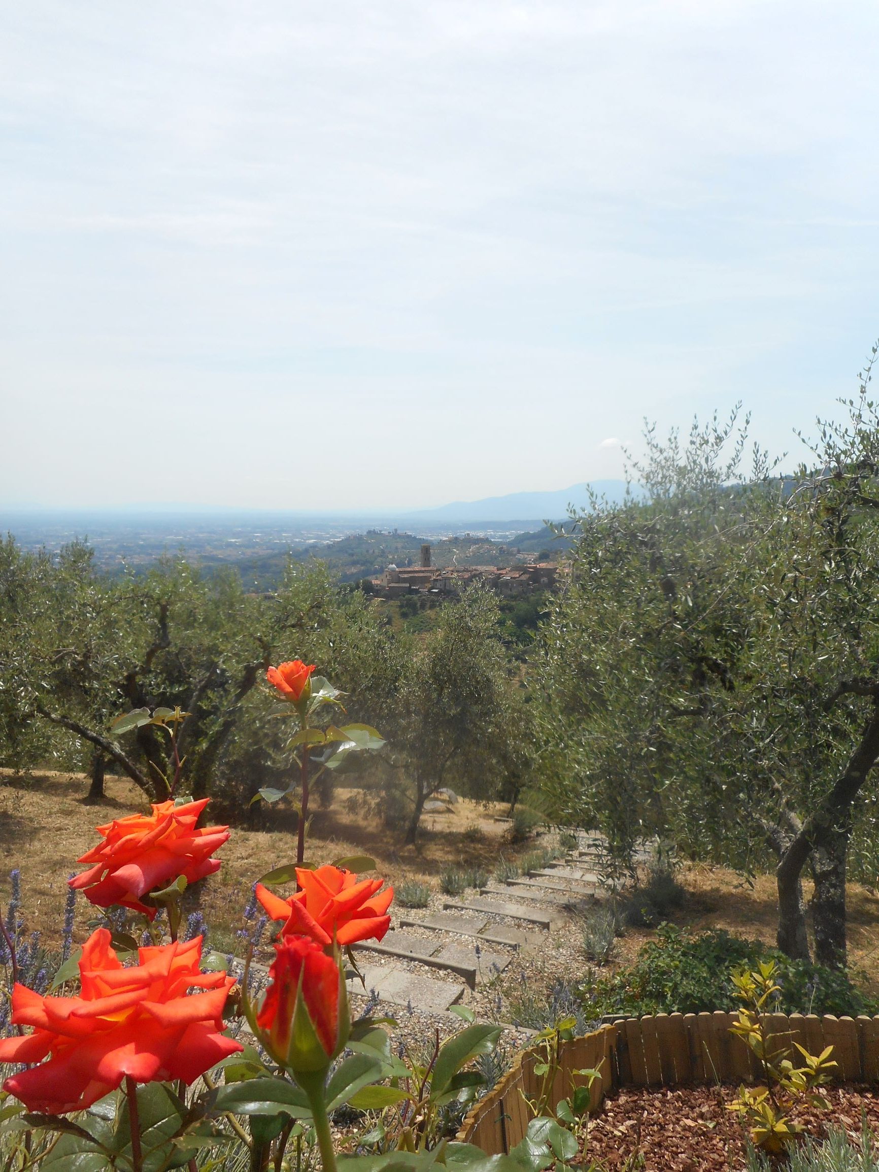 Agenzia Immobiliare San Martino