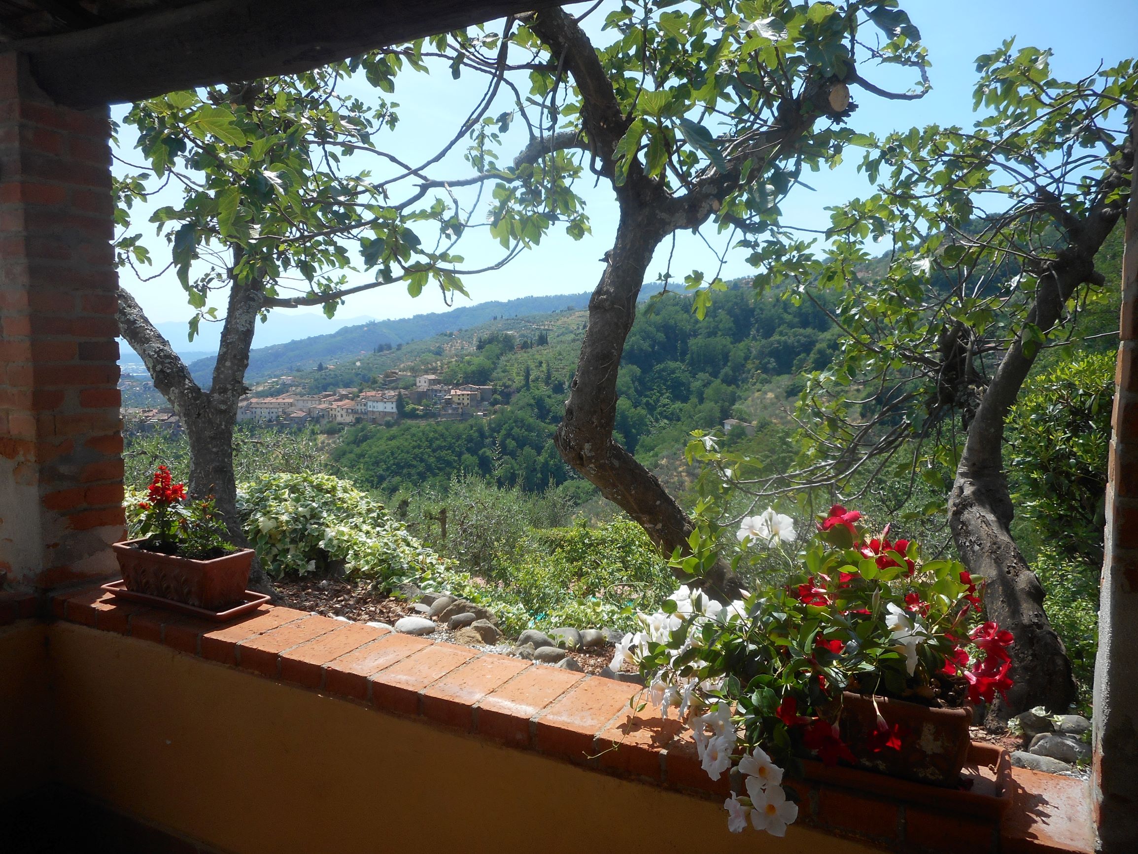 Agenzia Immobiliare San Martino