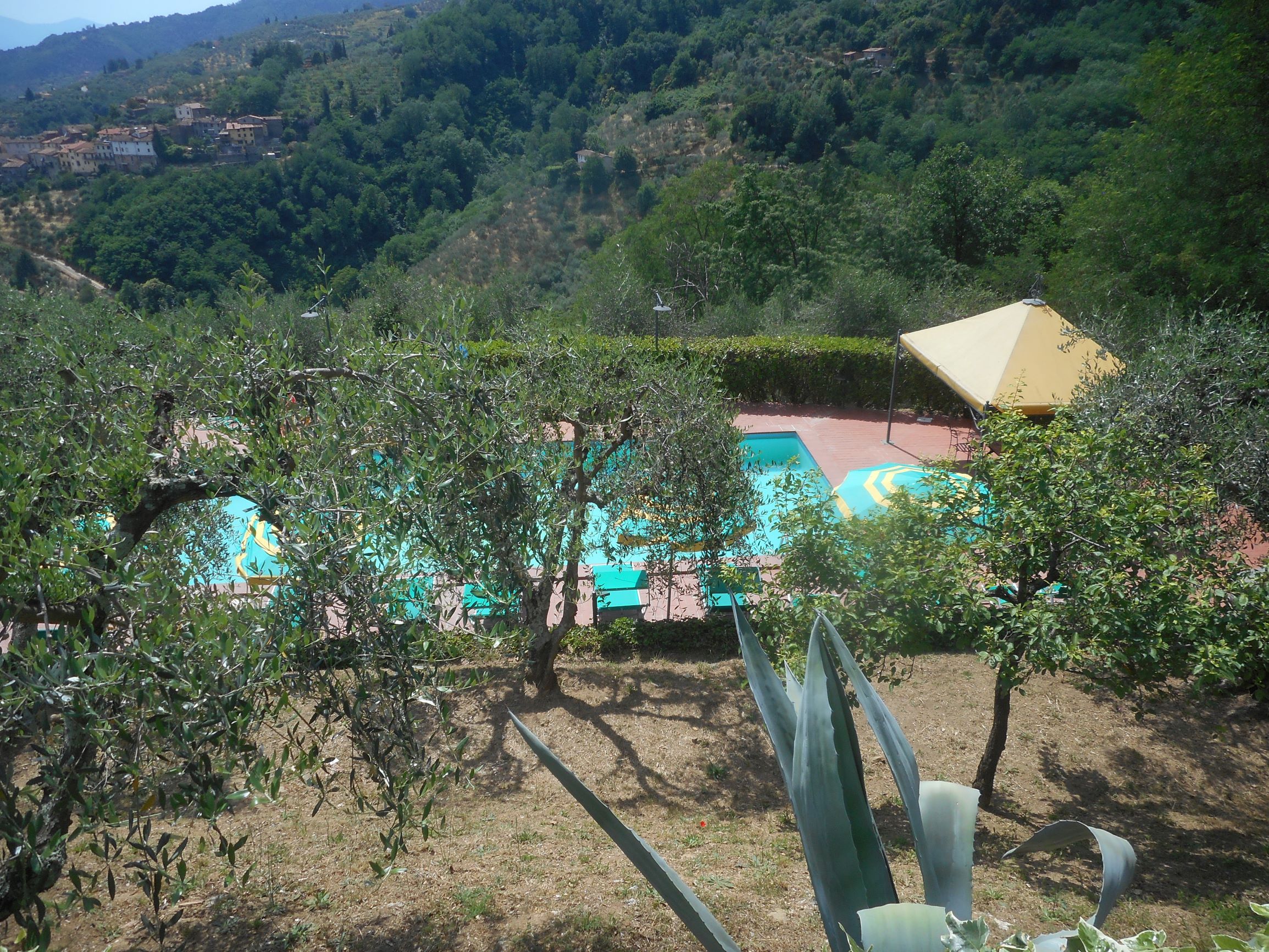 Agenzia Immobiliare San Martino