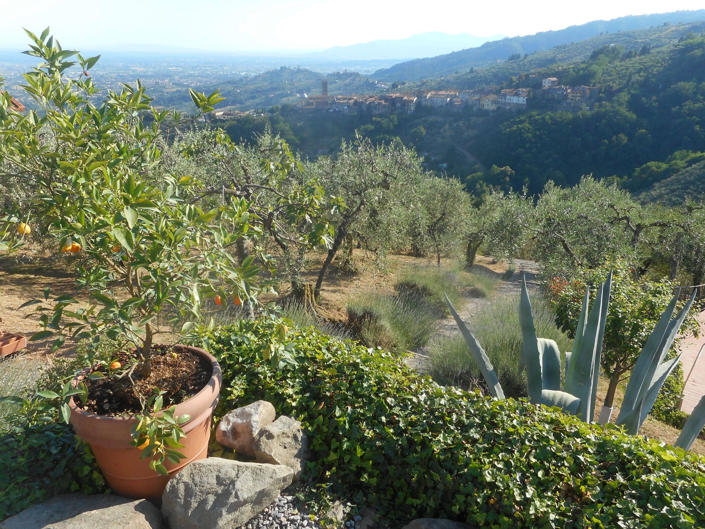 Agenzia Immobiliare San Martino