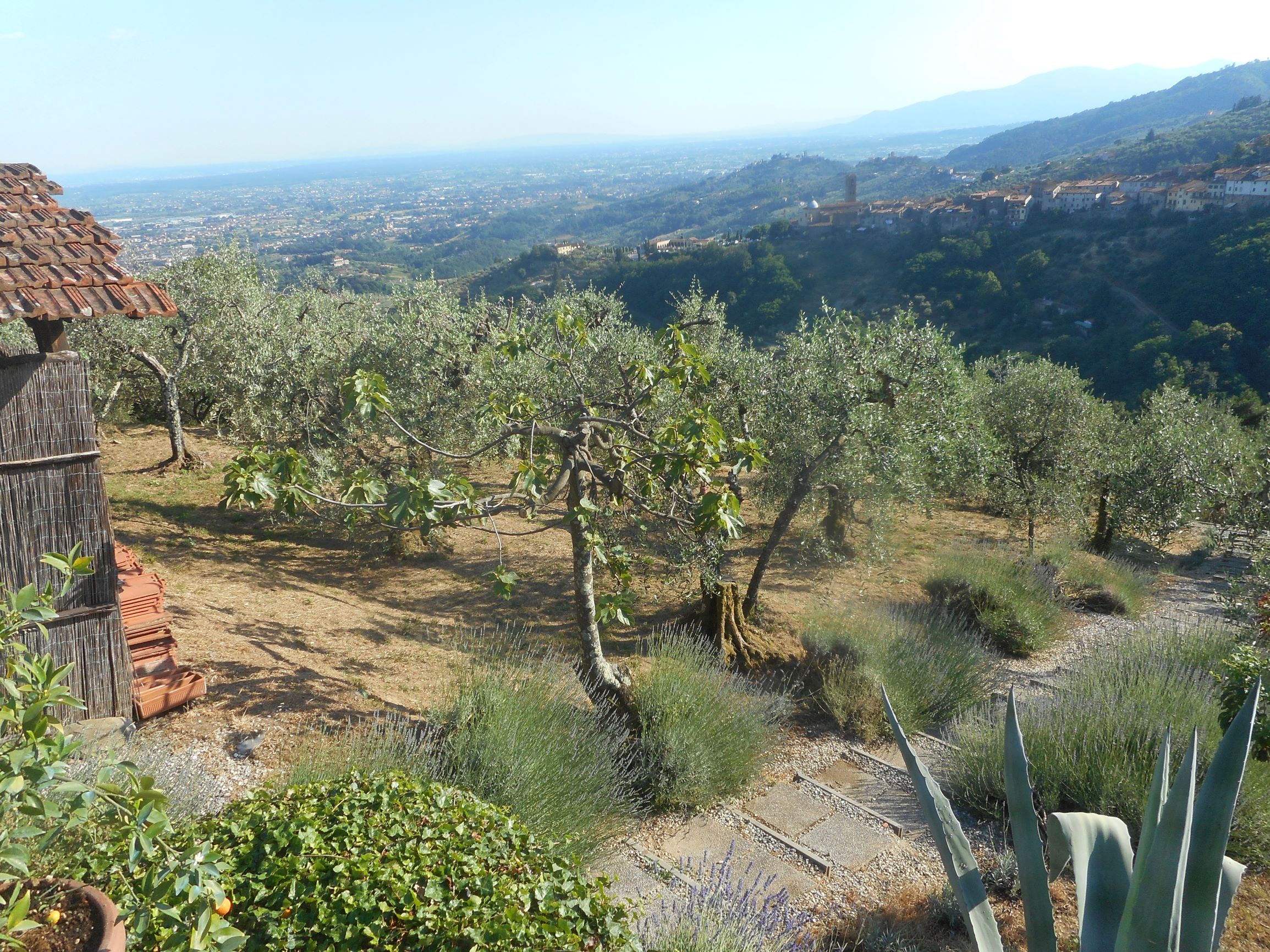 Agenzia Immobiliare San Martino