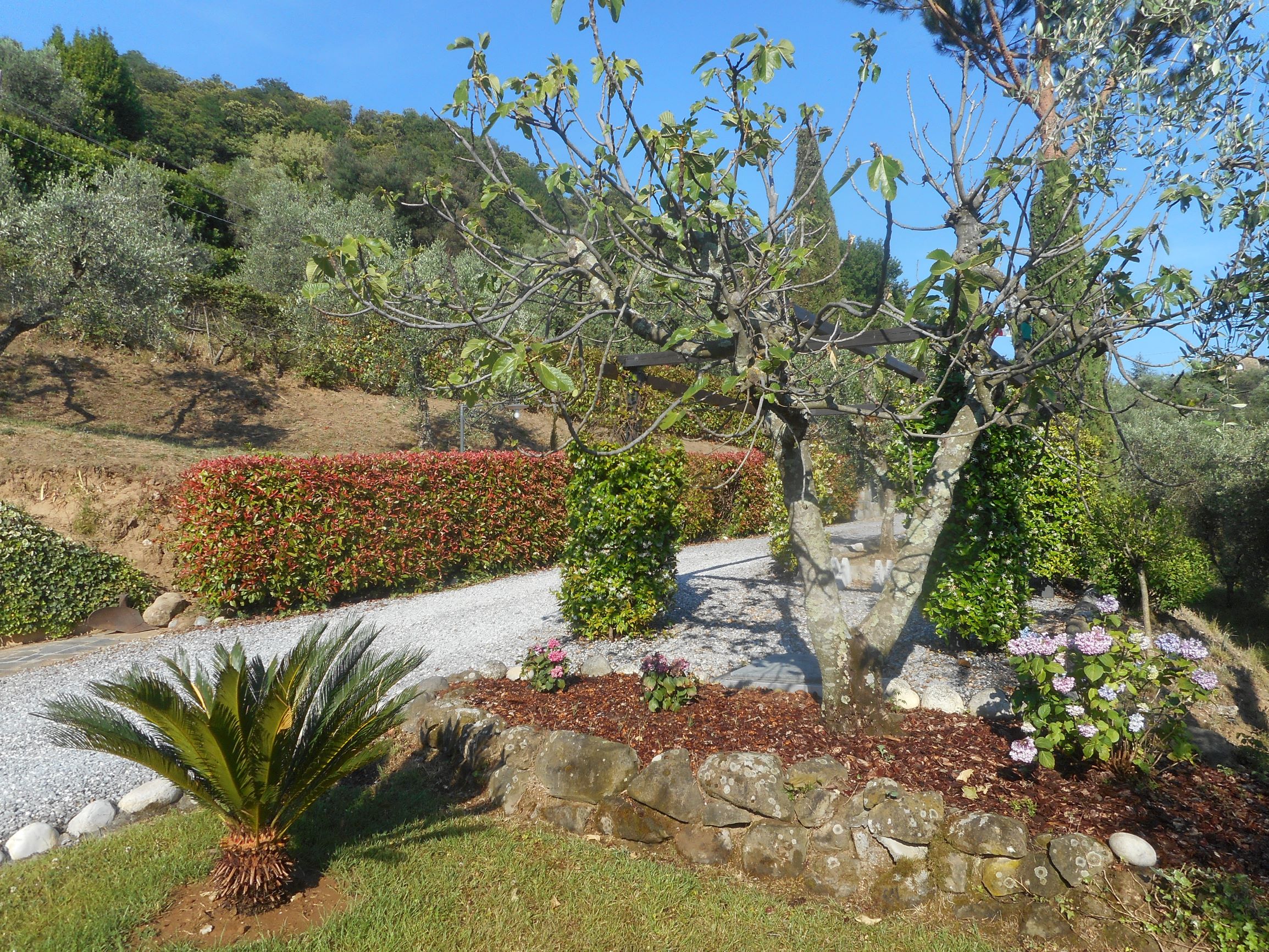 Agenzia Immobiliare San Martino