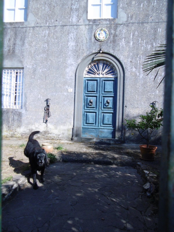 Agenzia Immobiliare San Martino