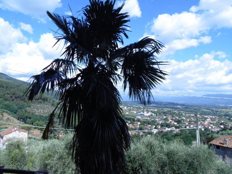 Agenzia Immobiliare San Martino