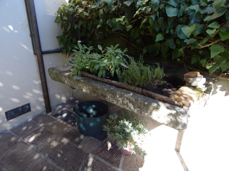 Agenzia Immobiliare San Martino