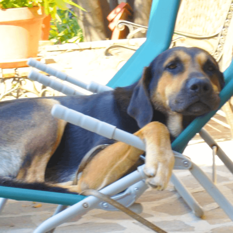 Agenzia Immobiliare San Martino