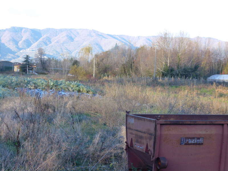 Agenzia Immobiliare San Martino