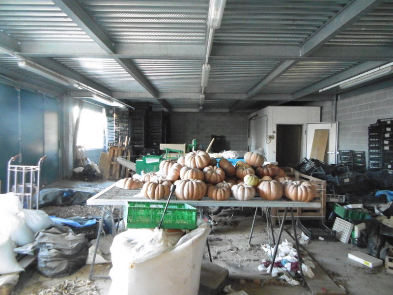 Agenzia Immobiliare San Martino