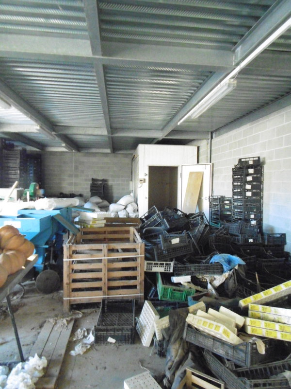 Agenzia Immobiliare San Martino