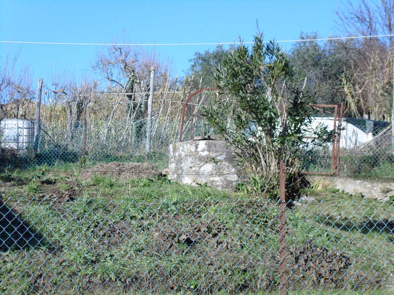 Agenzia Immobiliare San Martino