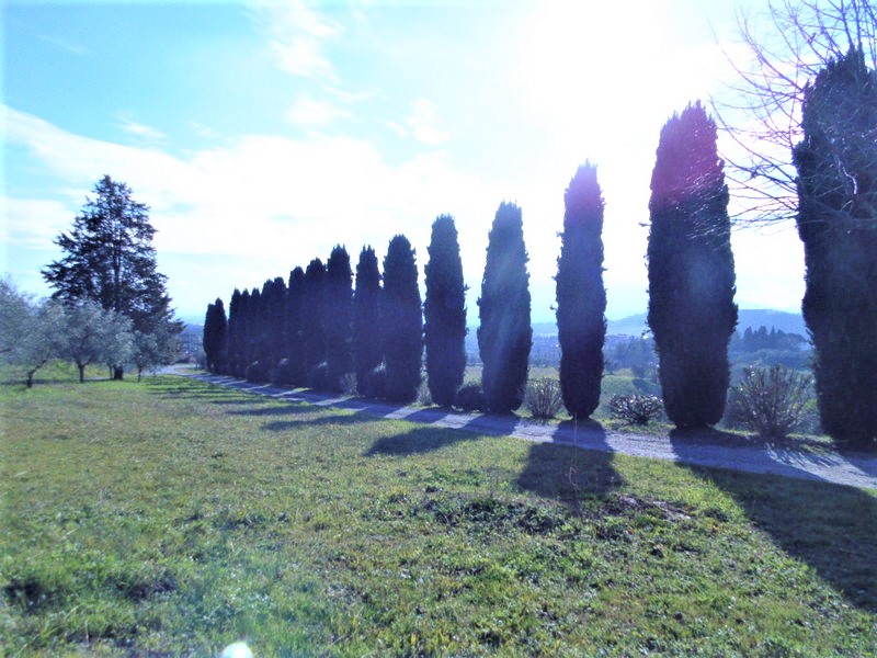 Agenzia Immobiliare San Martino