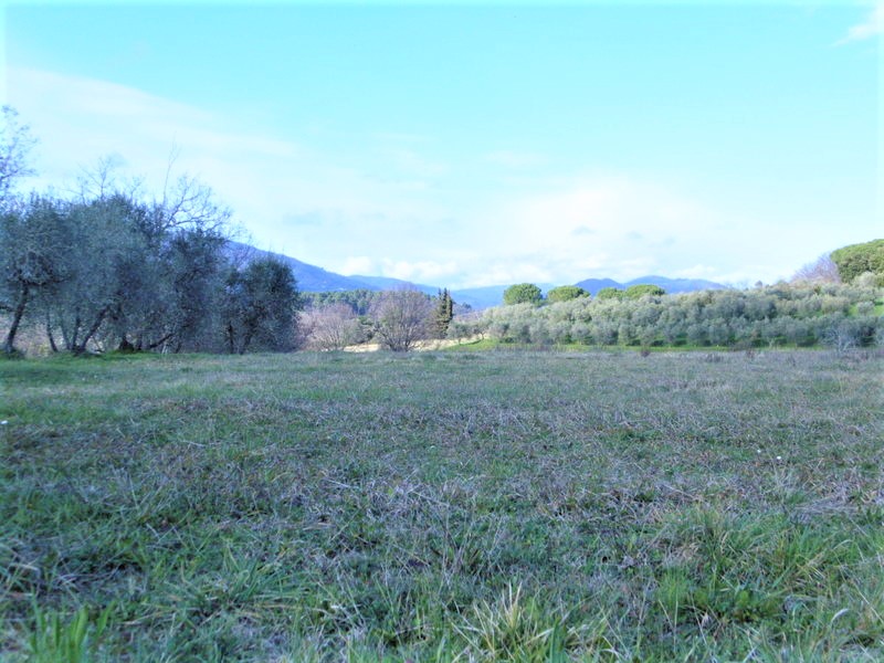 Agenzia Immobiliare San Martino