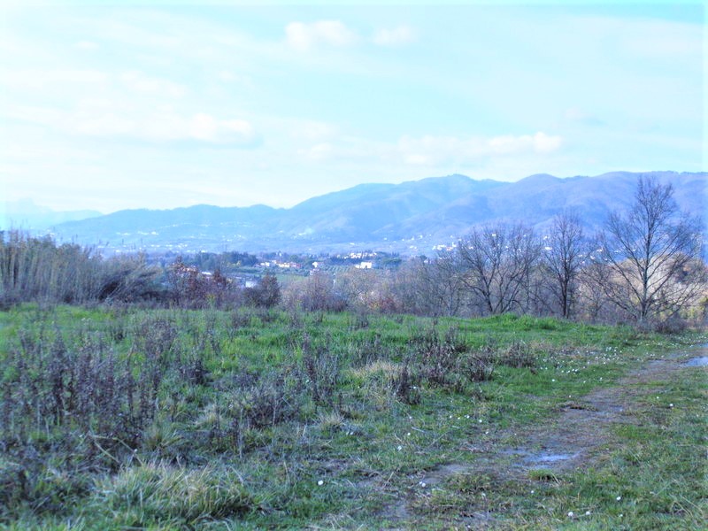 Agenzia Immobiliare San Martino