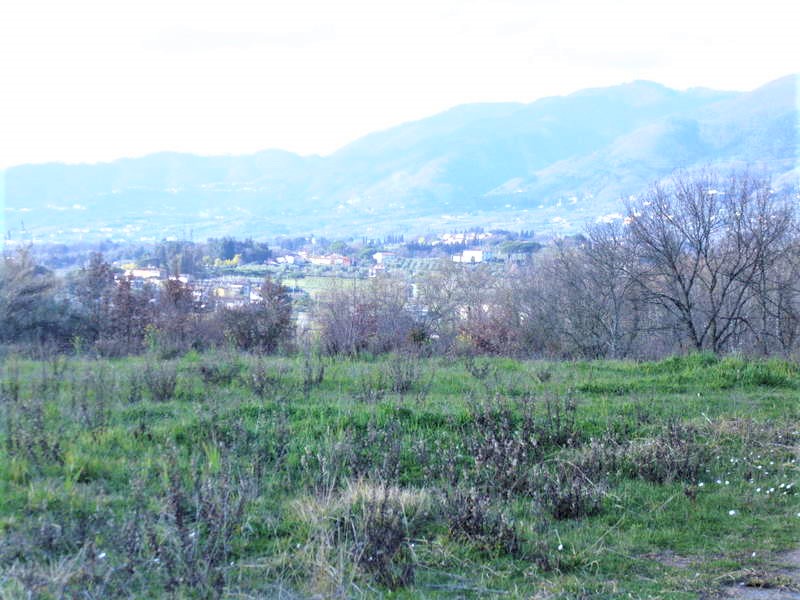 Agenzia Immobiliare San Martino