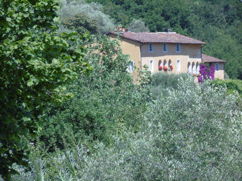 Agenzia Immobiliare San Martino