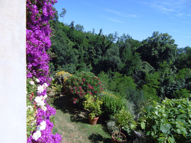 Agenzia Immobiliare San Martino