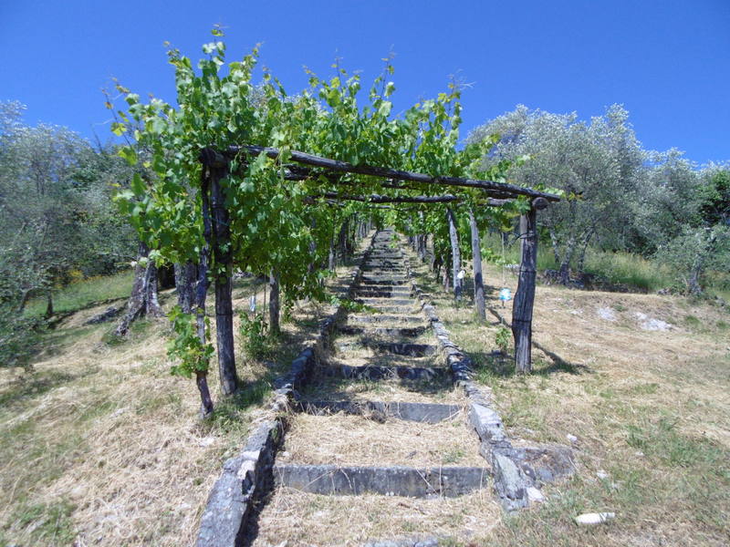 Agenzia Immobiliare San Martino