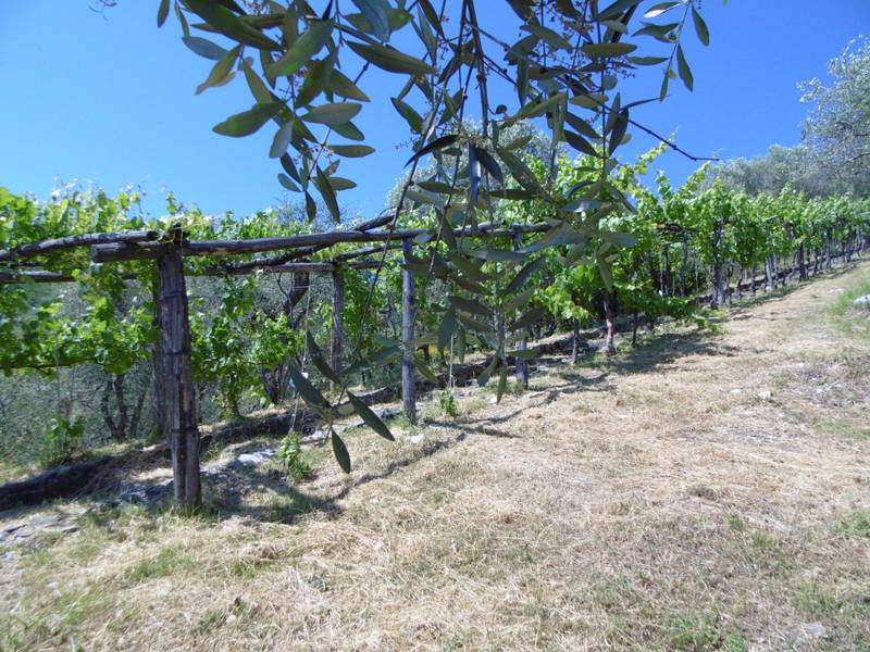 Agenzia Immobiliare San Martino