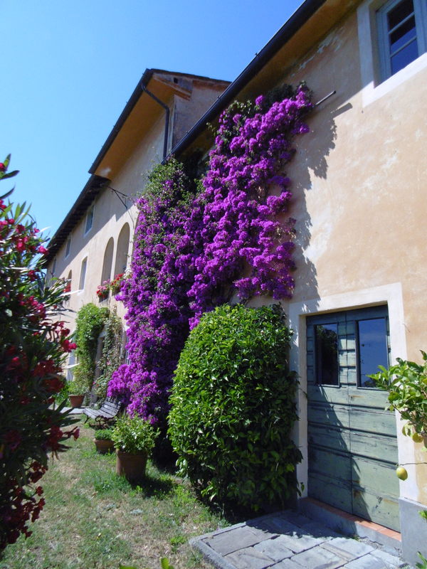 Agenzia Immobiliare San Martino