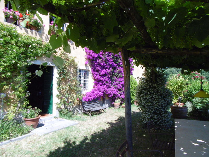 Agenzia Immobiliare San Martino