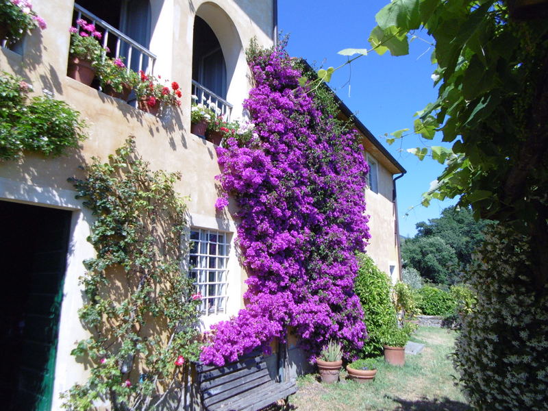 Agenzia Immobiliare San Martino